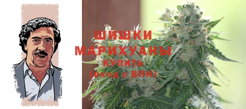 Канабис SATIVA & INDICA  Лысково 